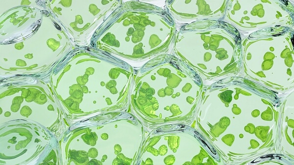 Biomoleküle, Biosubstanzen, Biotechnologie