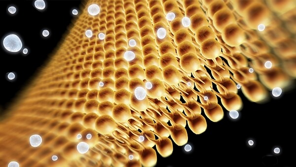 Filtration und Membrantestung